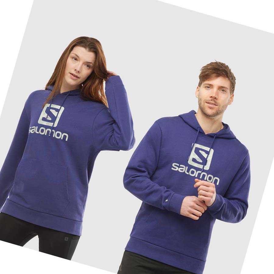 Salomon OUTLIFE LOGO SUMMER Erkek Kapüşonlu Sweatshirt Mor | TR 3220XYU